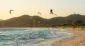 3 Praias Para a Prática de Kitesurf em Florianópolis