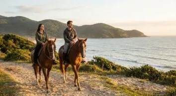 Os 3 Melhores Passeios à Cavalo em Florianópolis