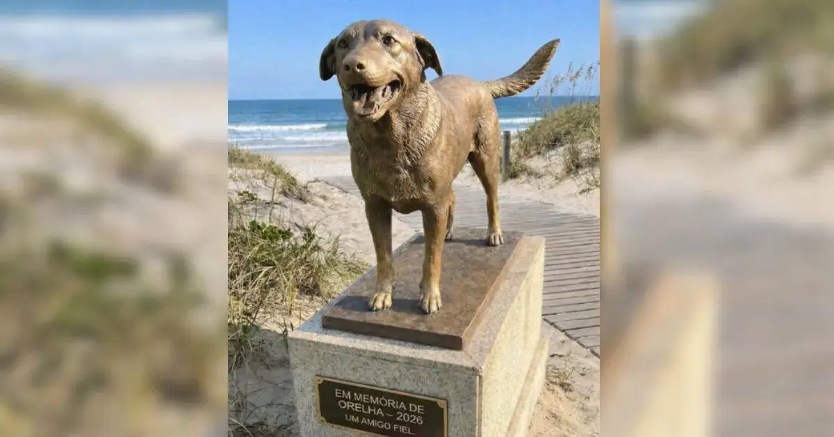 Estátua de um cachorro dourado em uma praia, com mar ao fundo e placa em homenagem a Orelha.