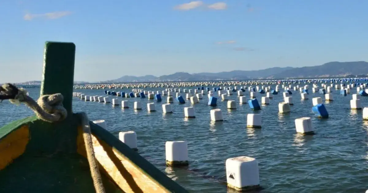 Balsa em primeiro plano com boias brancas e azuis flutuando em águas calmas, cercadas por montanhas ao fundo.