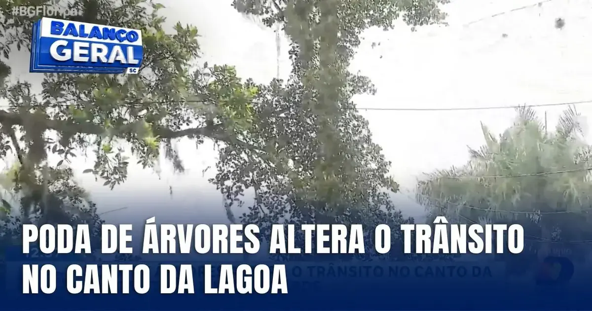 Poda de árvores em área urbana com trânsito alterado, céu nublado ao fundo.