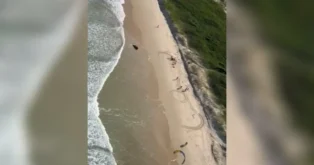 Praia da Joaquina com ondas, areia e pessoas praticando esportes aquáticos.