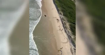 Turista se afoga na Praia da Joaquina em Florianópolis