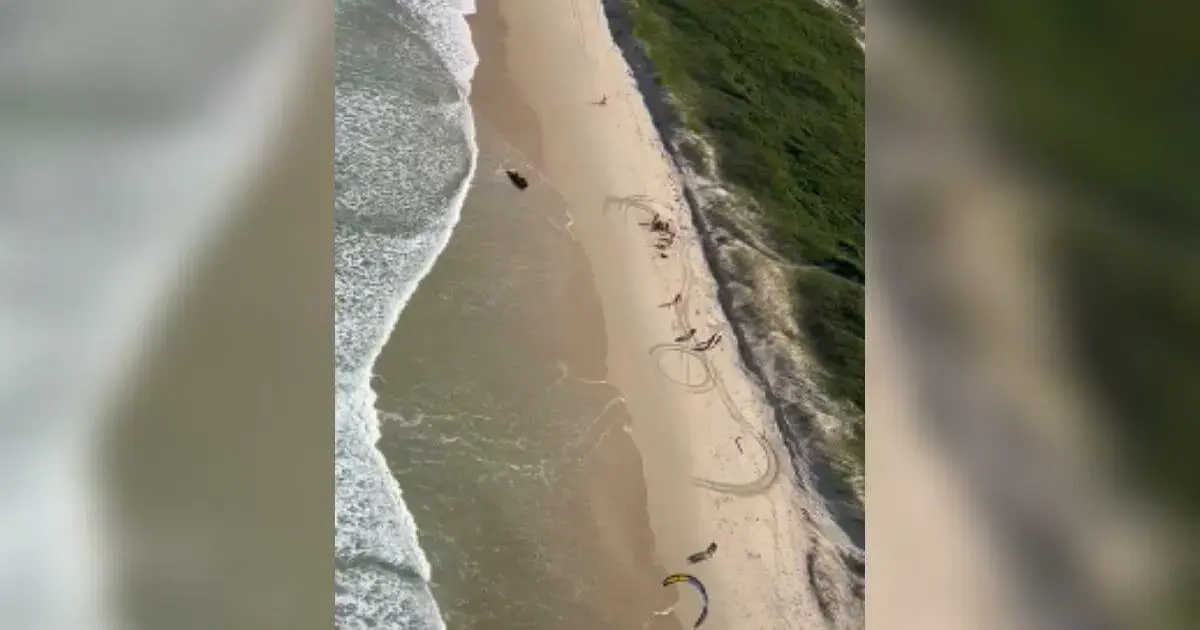 Praia da Joaquina com ondas, areia e pessoas praticando esportes aquáticos.