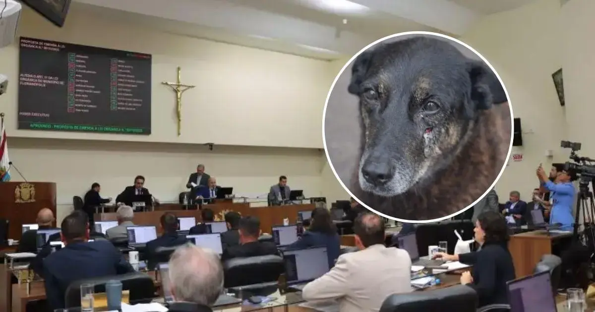 Reunião da Câmara Municipal com vereadores discutindo sobre a proposta de federalização do Caso Orelha, com cão ao fundo.