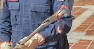 Serpente coral-verdadeira sendo capturada por um membro do Corpo de Bombeiros, com roupas de proteção.