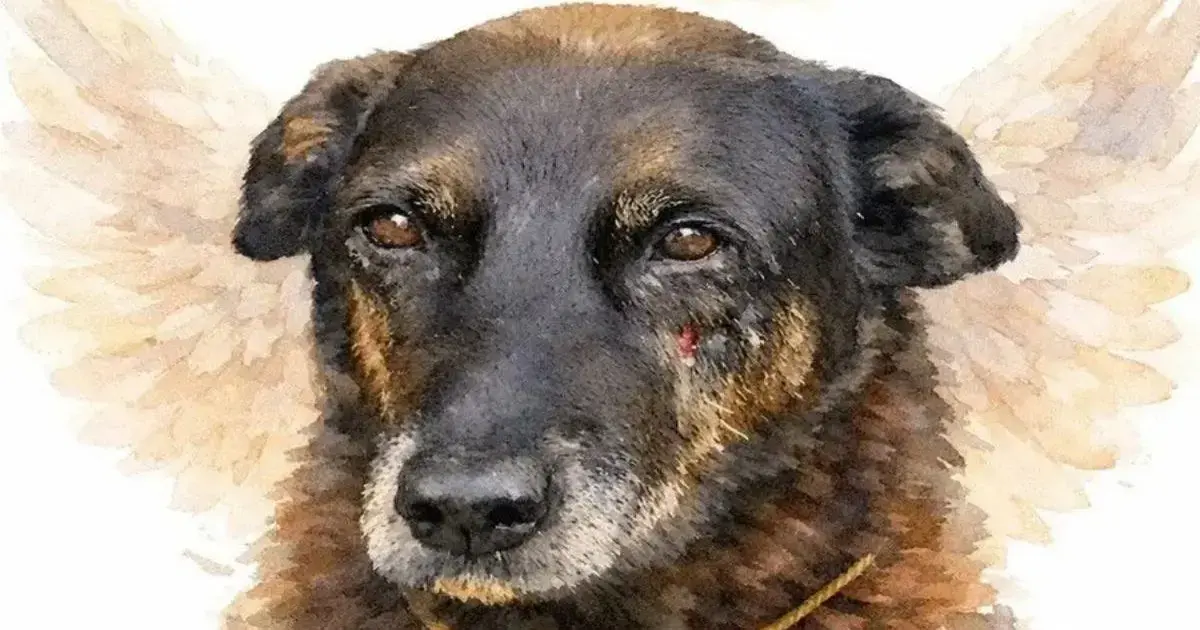 Cão com asas de anjo ao fundo, apresentando expressão serena e focos de luz nos olhos.