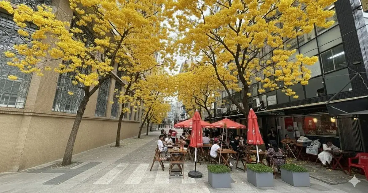 Rua com árvores amarelas e mesas ao ar livre sob guarda-sóis vermelhos, com pessoas sentadas e interagindo.