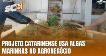 Inovação em Algas Marinhas no Agronegócio de Santa Catarina
