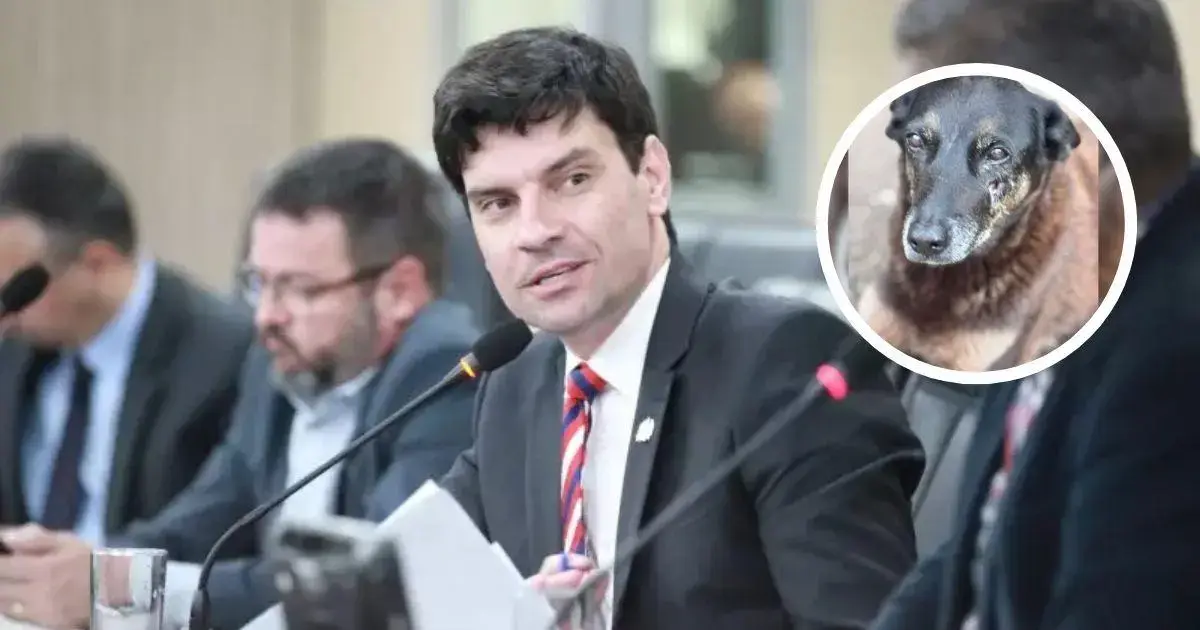 Homem falando em uma mesa rodeada de outras pessoas, com uma imagem de um cachorro dentro de um círculo ao lado.