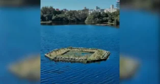 Ilha com vegetação flutuante em um lago, cercada por água e com vegetação ao fundo.