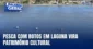 Pesca com Botos em Laguna é Reconhecida como Patrimônio Cultural