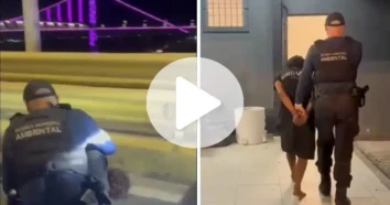 Quatro homens presos por furto de fios na ponte Colombo Salles