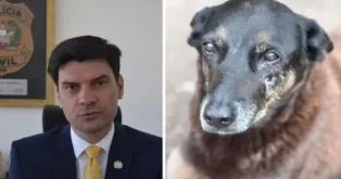 Retrato de um homem em traje formal à esquerda e um cão com cara séria e ferimento próximo ao olho à direita.